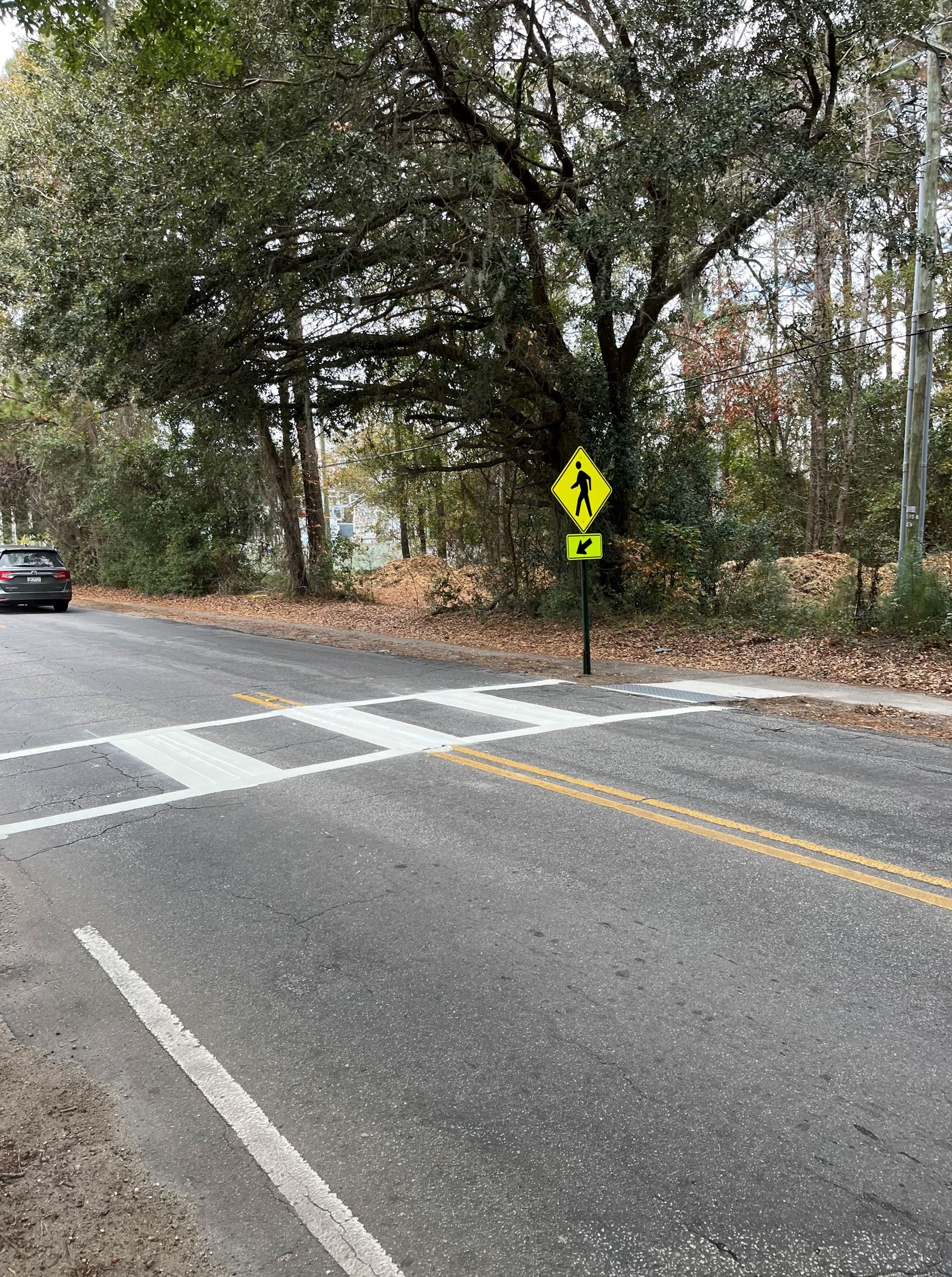 Crosswalk and Pedestrian at Ft Johnson Rd