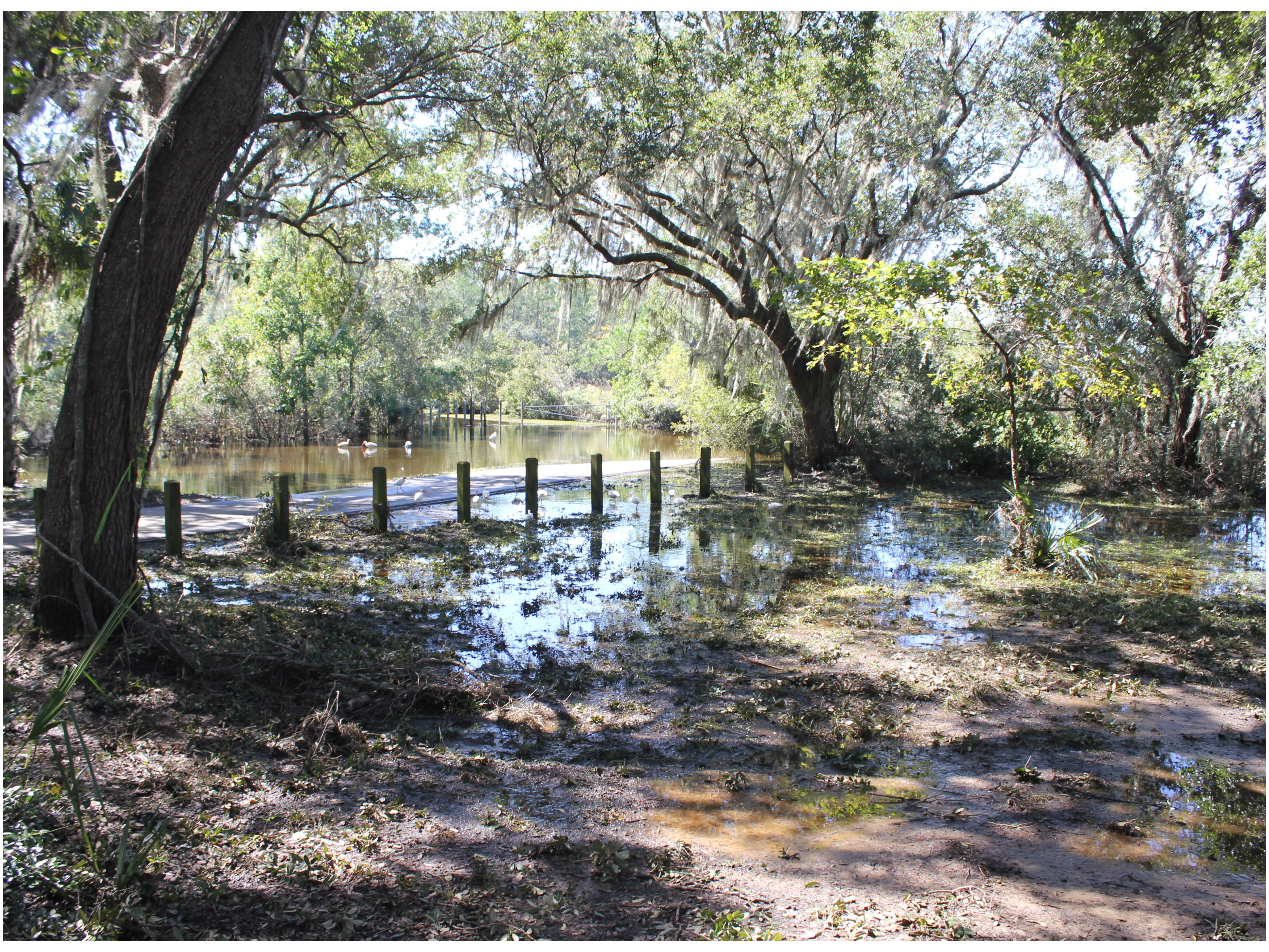 Lake Dotterer Flood Reduction Project