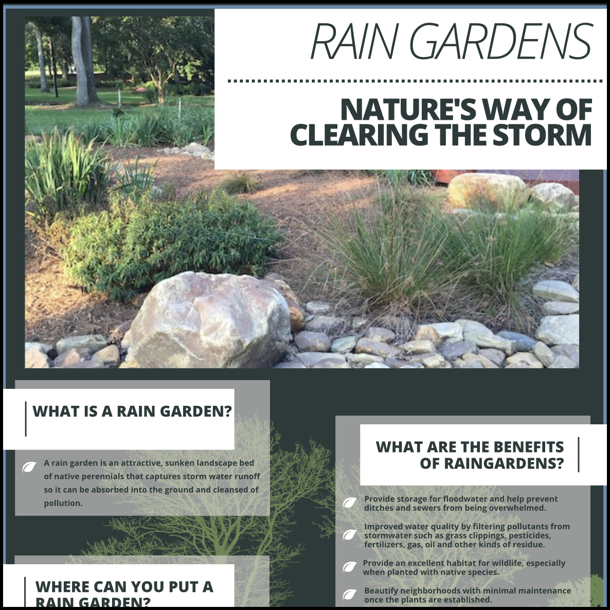 Rain Gardens Flyer