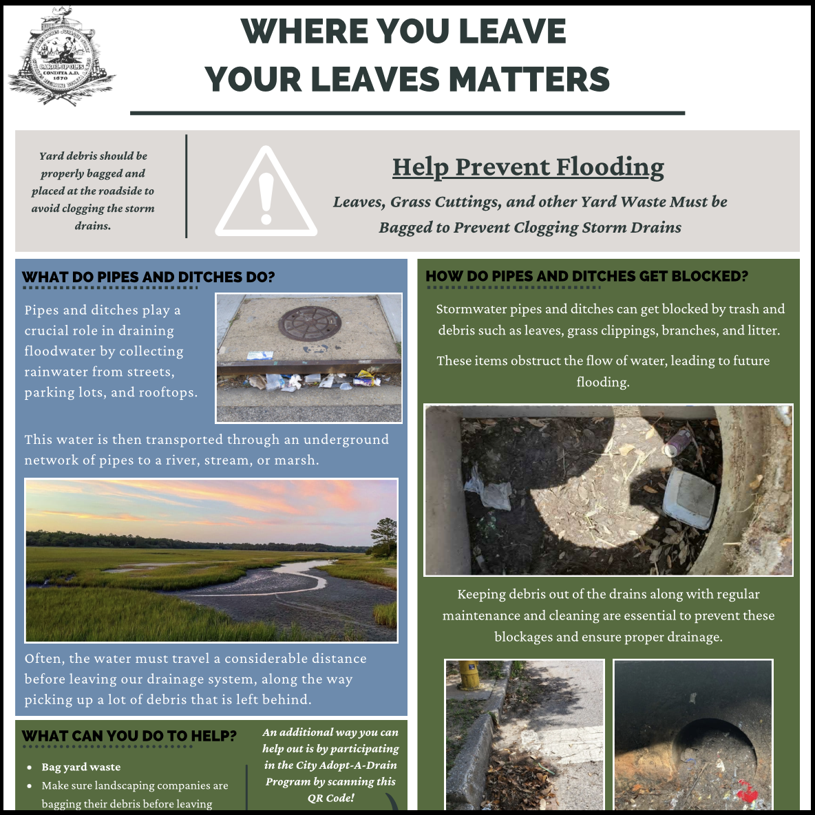 Where You Leave Your Leaves