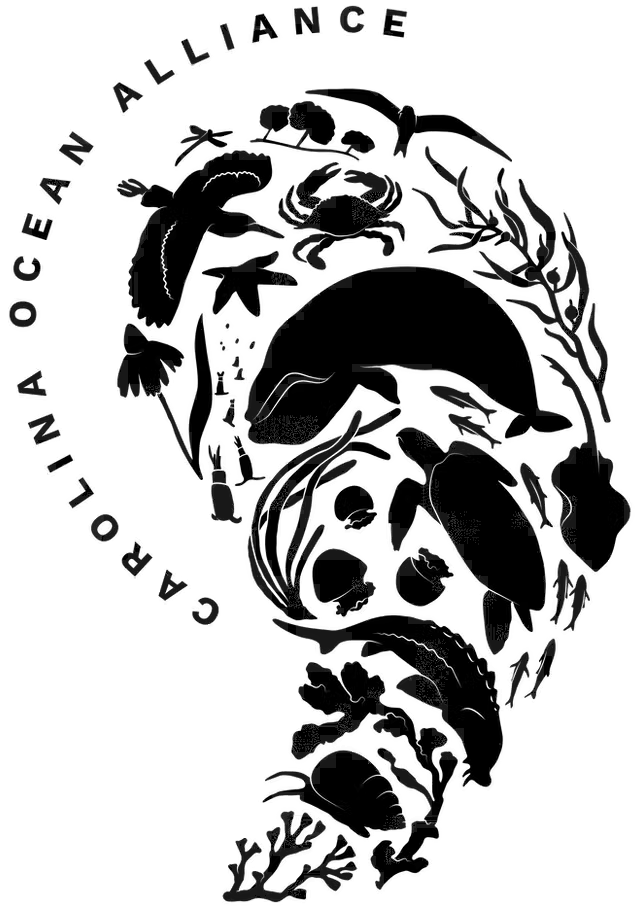 carolina ocean alliance